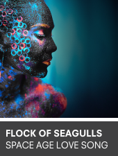 Flock Of Seagulls Space Age Love Song